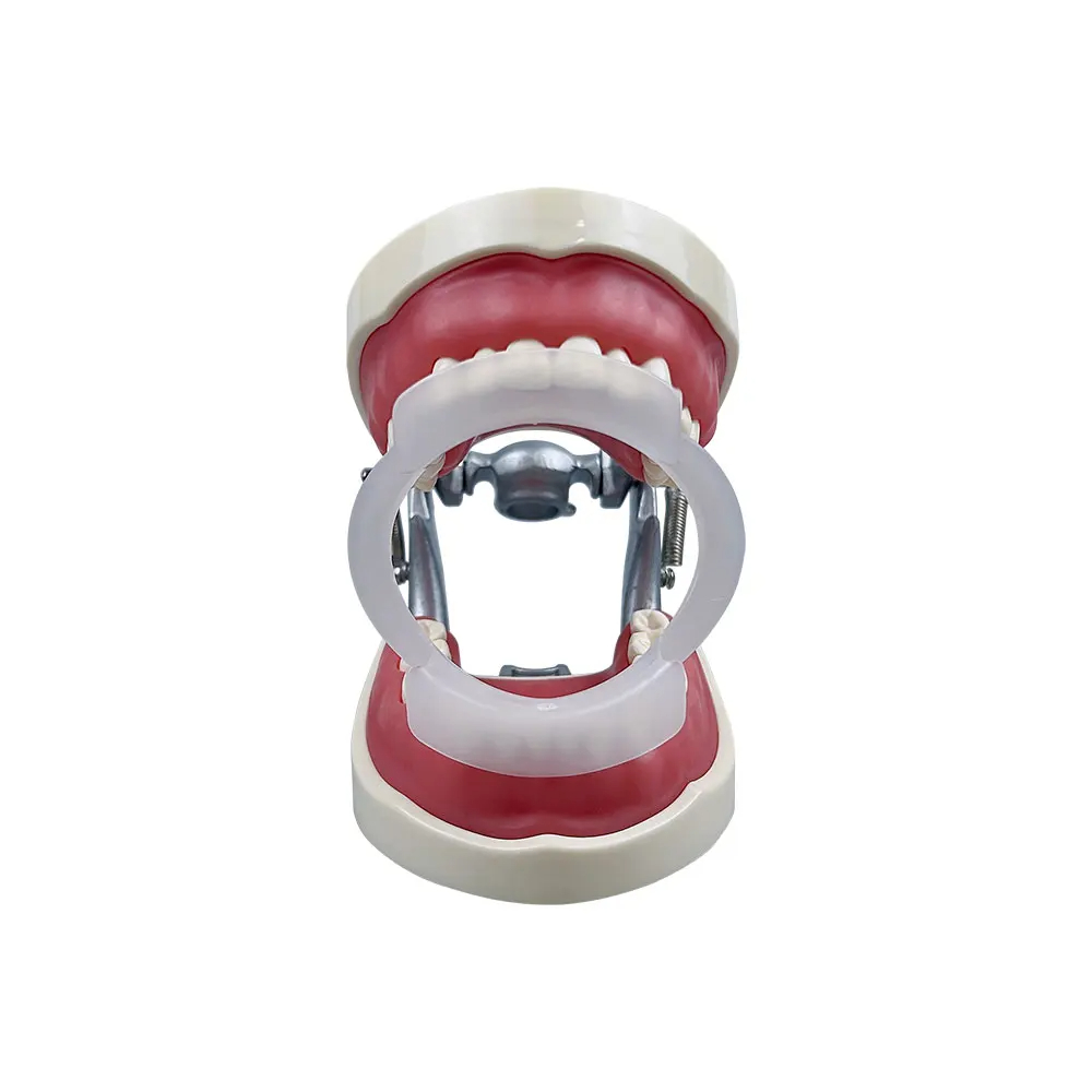 100 Stück/Beutel Dental O-Form – Teeth Whitening For Braces Bewertung und Preis