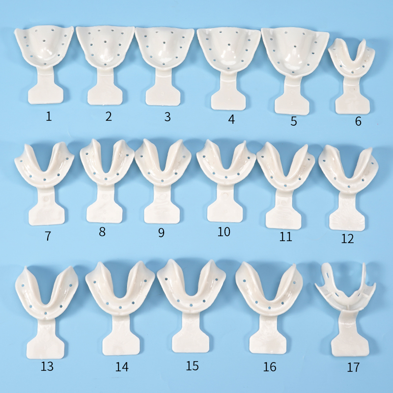 17-teiliges Dental-Abdrucklöff – Teeth Whitening Tray Bewertung und Preis