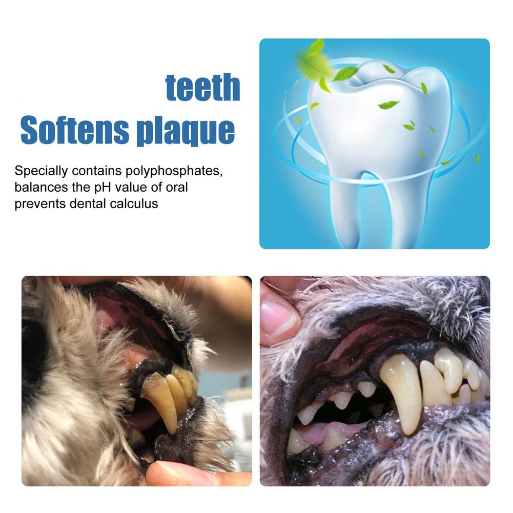 Zahnsteinentferner für Haustie – Teeth Whitening Effective Bewertung und Preis